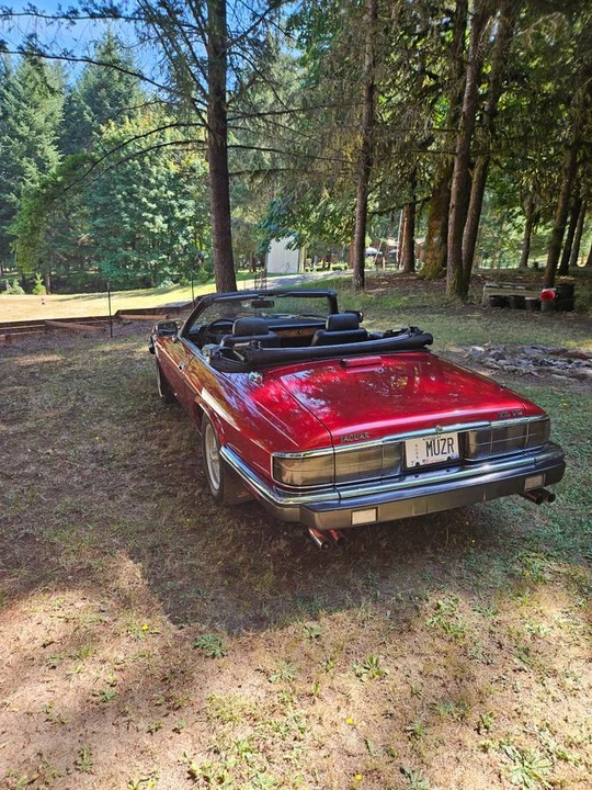 1992 Jaguar XJS Convertible - Image 18 of 20
