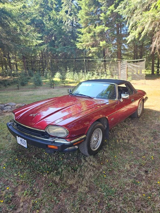 1992 Jaguar XJS Convertible - Image 2 of 20