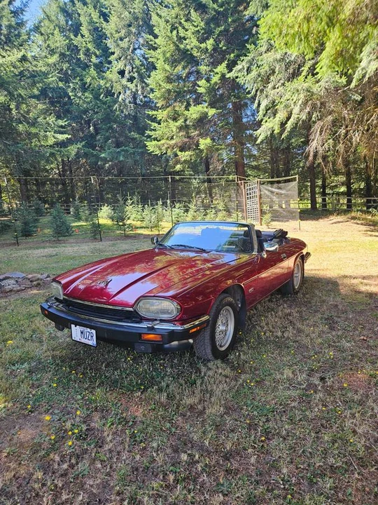 1992 Jaguar XJS Convertible - Image 19 of 20