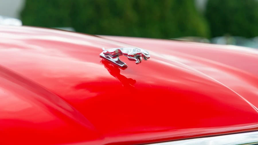 1992 Jaguar XJS Convertible - Image 11 of 12