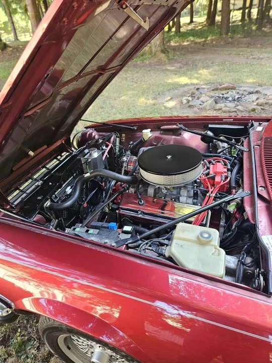 1992 Jaguar XJS Facelift V12 - Image 13 of 19