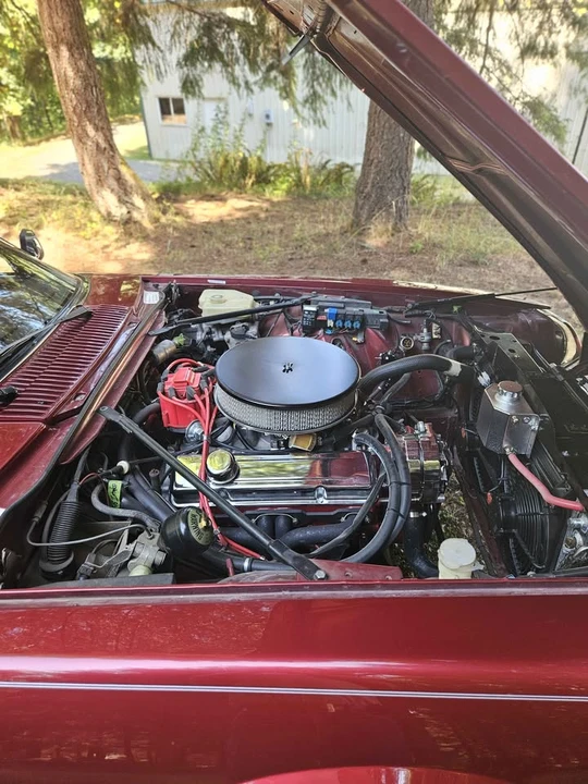 1992 Jaguar XJS Facelift V12 - Image 14 of 19