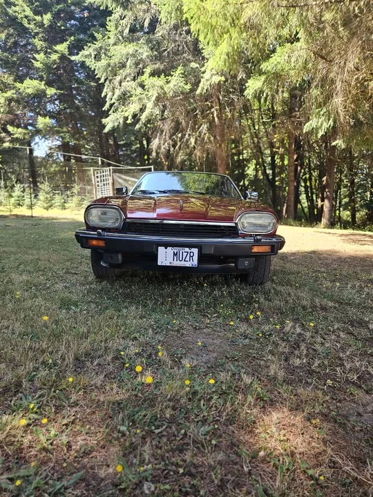 1992 Jaguar XJS Facelift V12 - Image 17 of 19