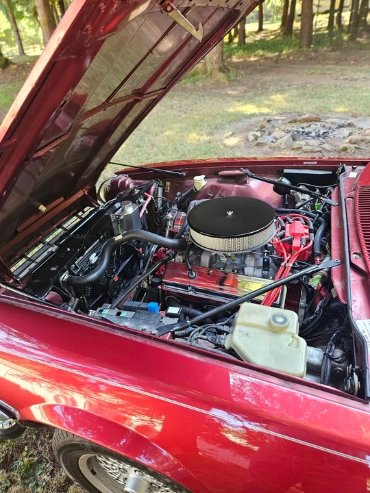 1992 Jaguar XJS - Image 14 of 20