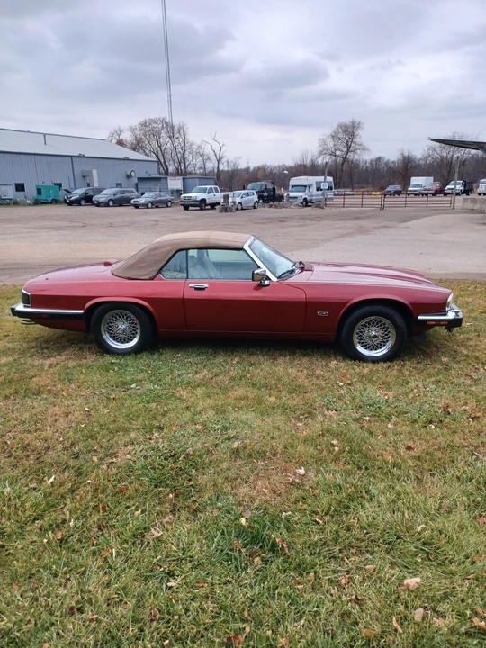 1992 Jaguar XJS - Image 5 of 19