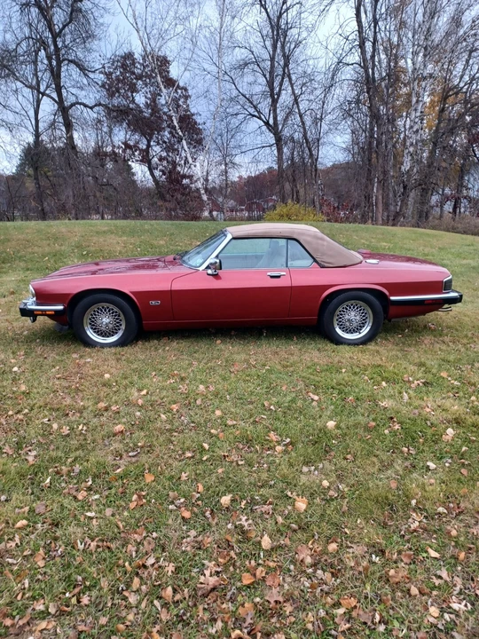 1992 Jaguar XJS - Image 4 of 19