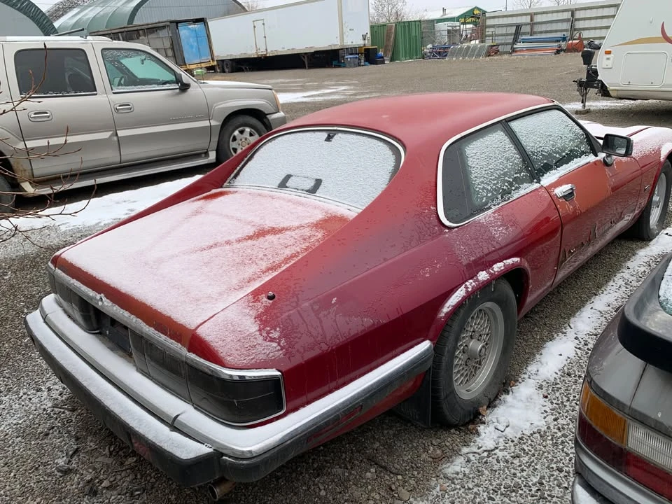1992 Jaguar XJS - Image 7 of 8