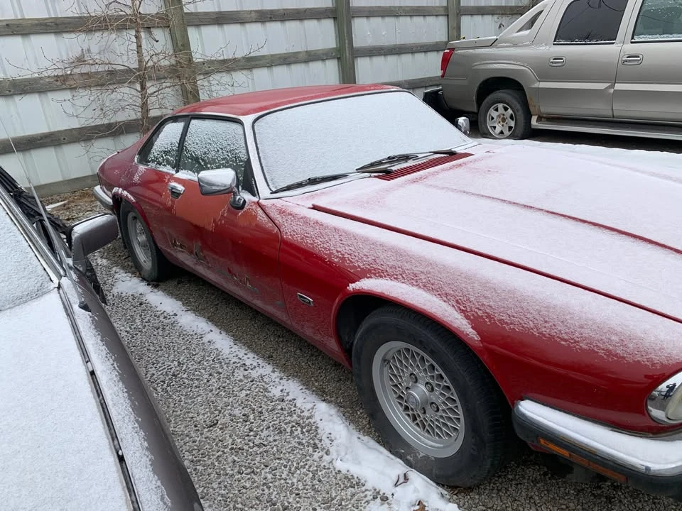 1992 Jaguar XJS - Image 6 of 8