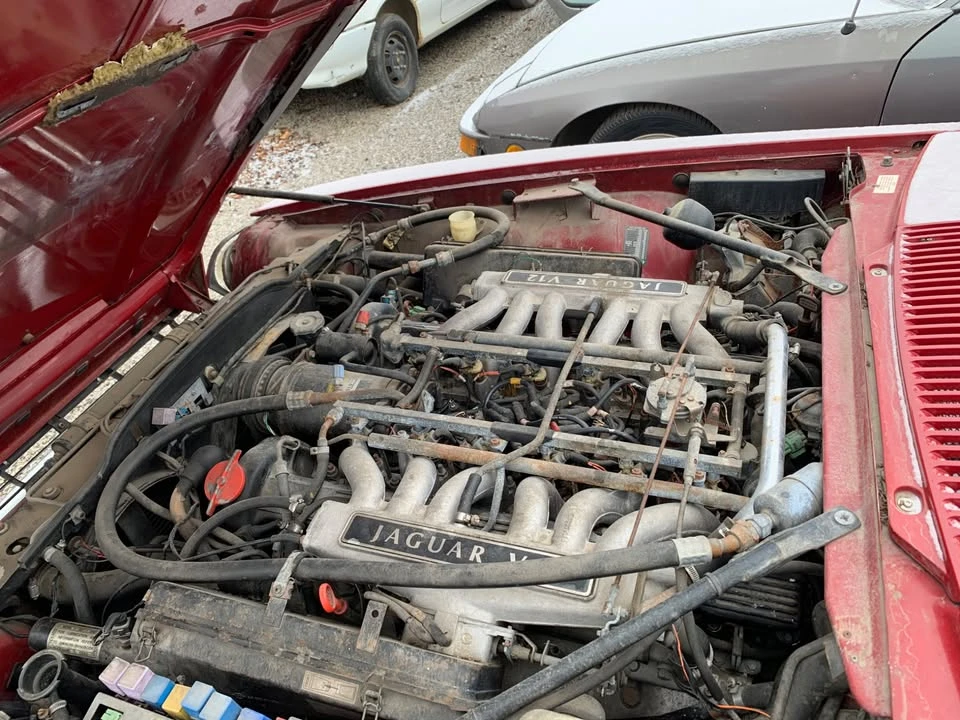 1992 Jaguar XJS - Image 5 of 8