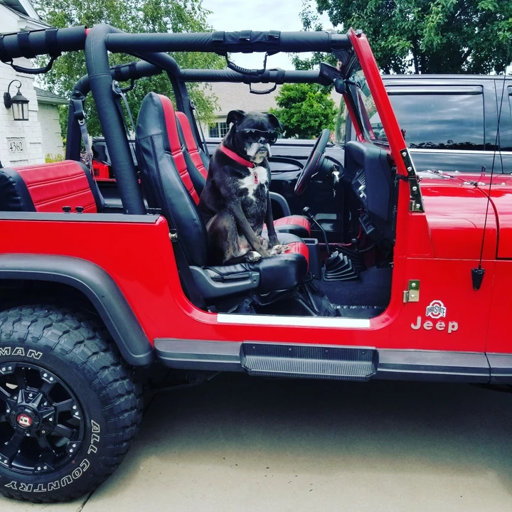1992 Jeep YJ Wrangler - Image 8 of 10
