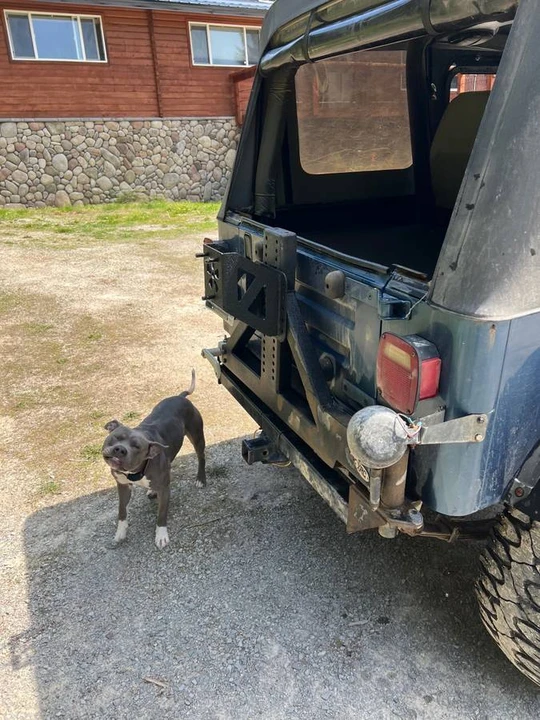 1992 Jeep YJ Wrangler - Image 8 of 19