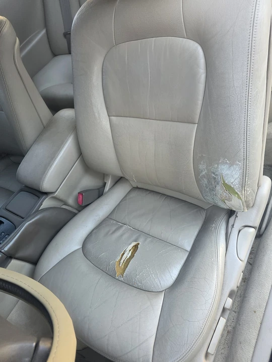1992 Lexus SC400 - Image 5 of 9