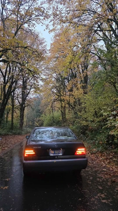 1992 Mercedes-Benz W124 E-Class - Image 2 of 8