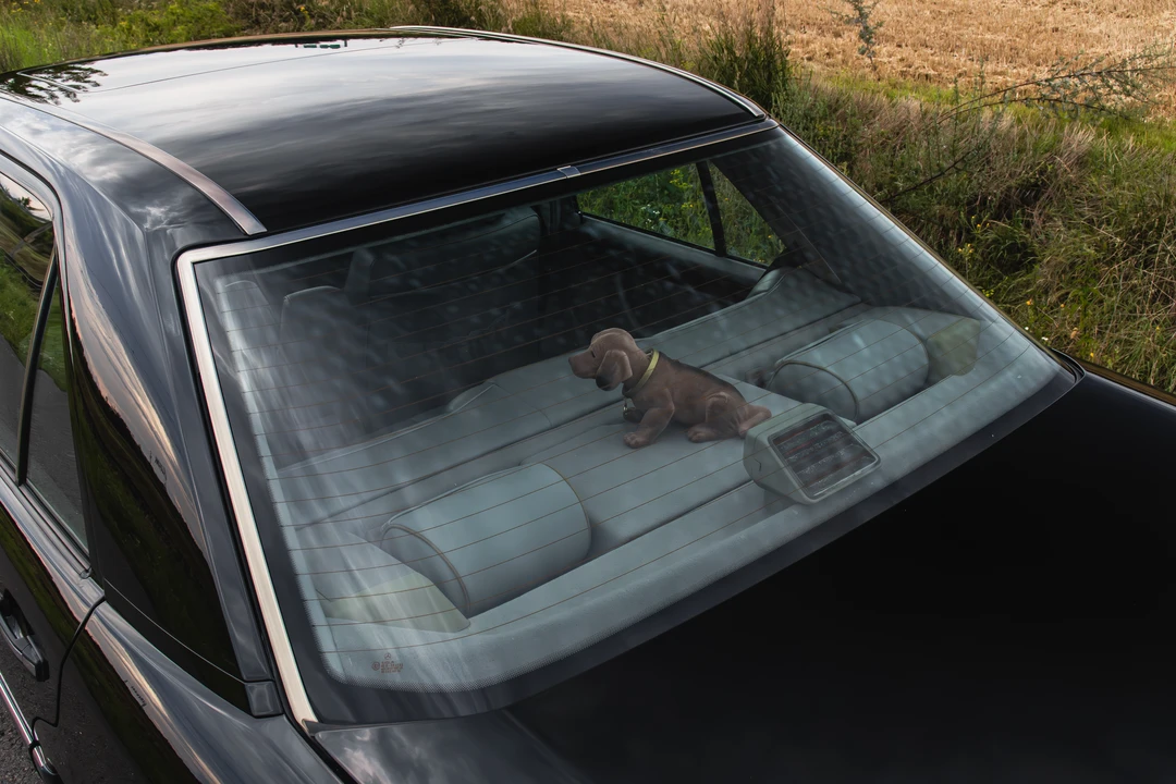 1992 Mercedes-Benz W124 E-Class - Image 15 of 31