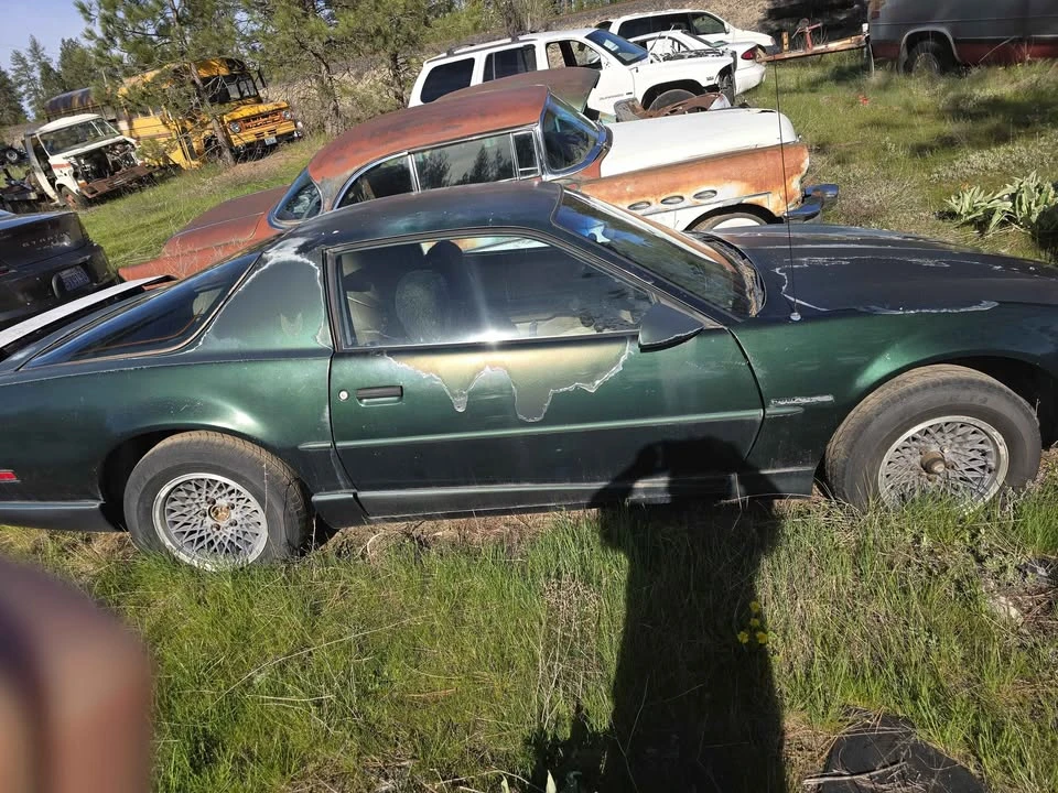 1992 Pontiac Firebird 3rd Gen - Image 3 of 6