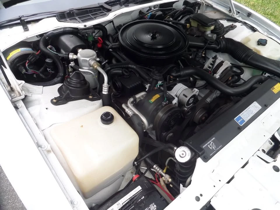 1992 Pontiac Firebird 3rd Gen - Image 8 of 19