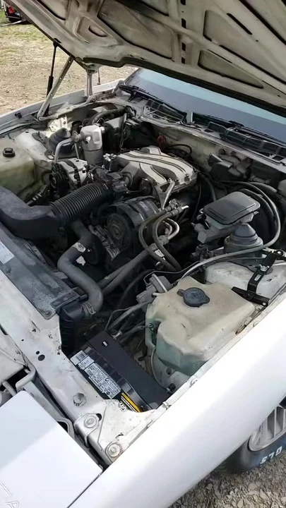 1992 Pontiac Firebird 3rd Gen - Image 19 of 19