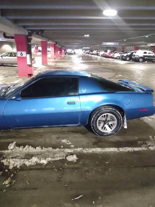 1992 Pontiac Firebird 3rd Gen - Image 10 of 10