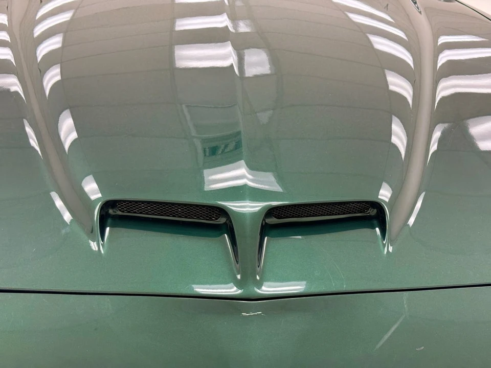 1992 Pontiac Firebird Trans Am 3rd Gen - Image 12 of 12