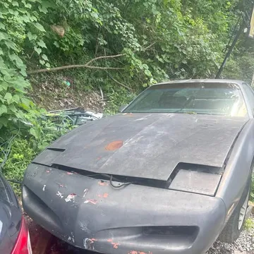 1992 Pontiac Firebird Trans Am Coupe 2D