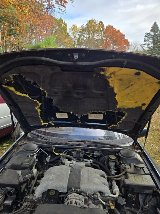 1992 Subaru SVX - Image 18 of 20