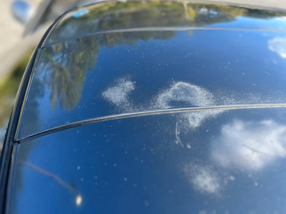 1992 Suzuki Cappuccino - Image 30 of 31