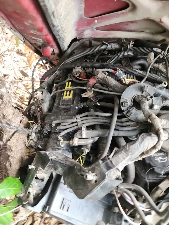 1992 Toyota Tacoma - Image 14 of 14