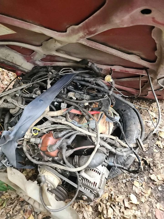 1992 Toyota Tacoma - Image 13 of 14