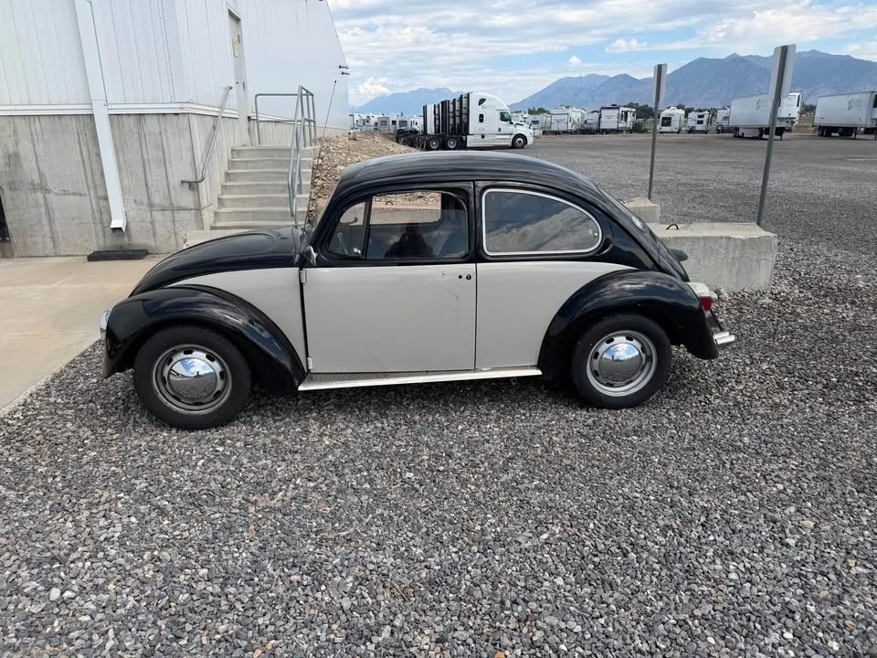 1992 Volkswagen Beetle (1980-2003) - Image 6 of 6