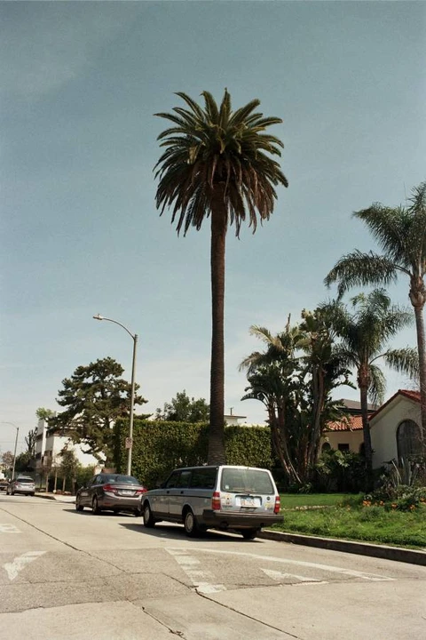 1992 Volvo 245 - Image 6 of 6