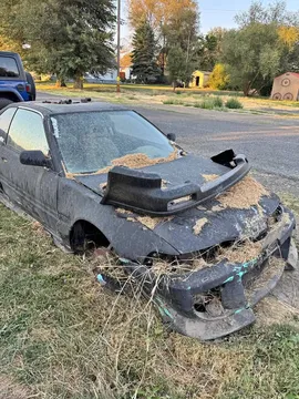 1993 Acura Integra GS-R Hatchback 2D