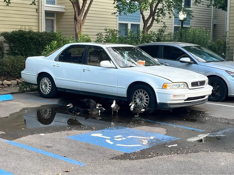 1993 Acura Legend 2nd Gen - Image 2 of 3