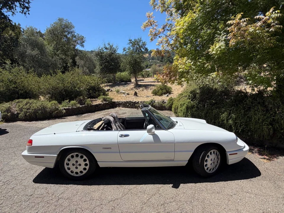 1993 Alfa Romeo Series 4 - Image 12 of 13