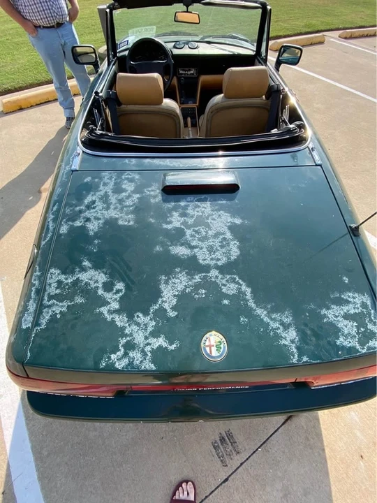 1993 Alfa Romeo Series 4 - Image 6 of 20