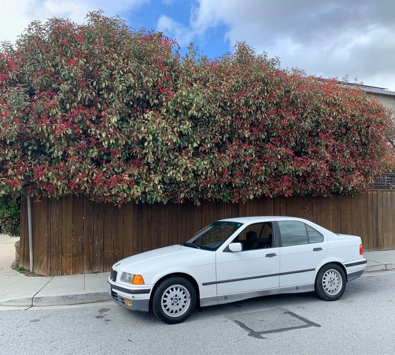 1993 BMW E36 3 Series - Image 10 of 10