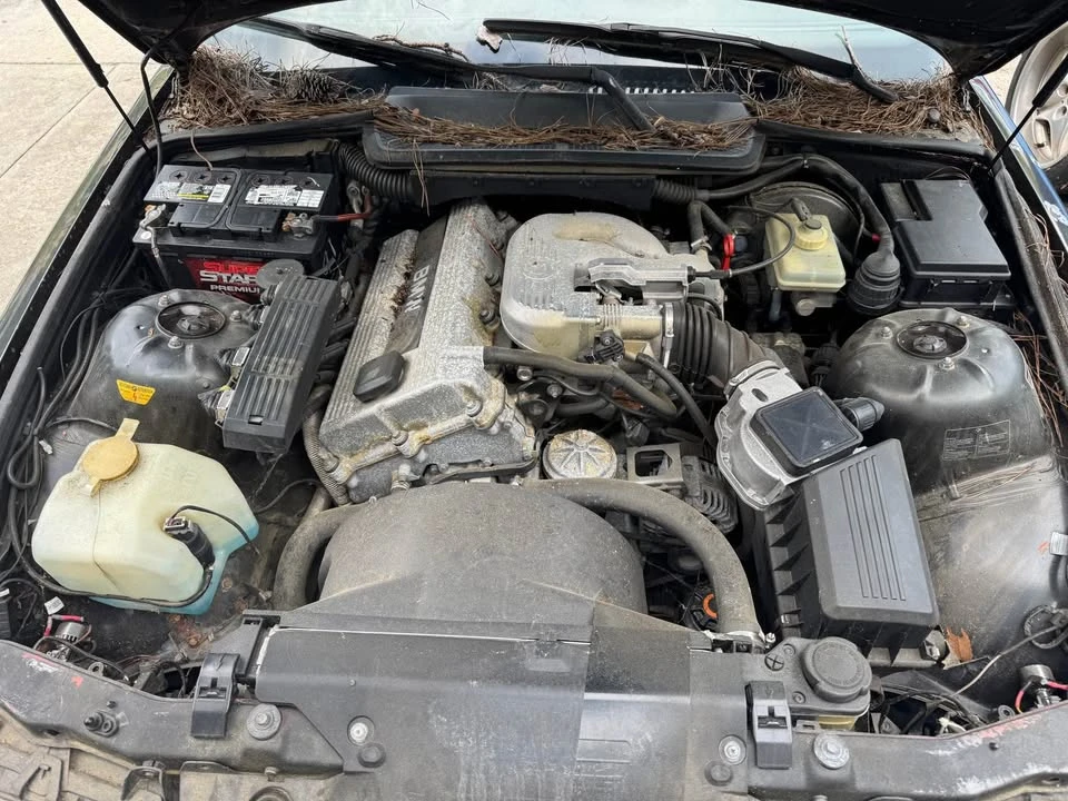 1993 BMW E36 3 Series - Image 10 of 10