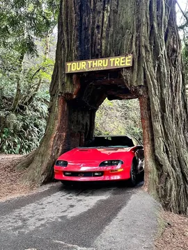1993 Chevrolet Camaro SS Coupe 2D