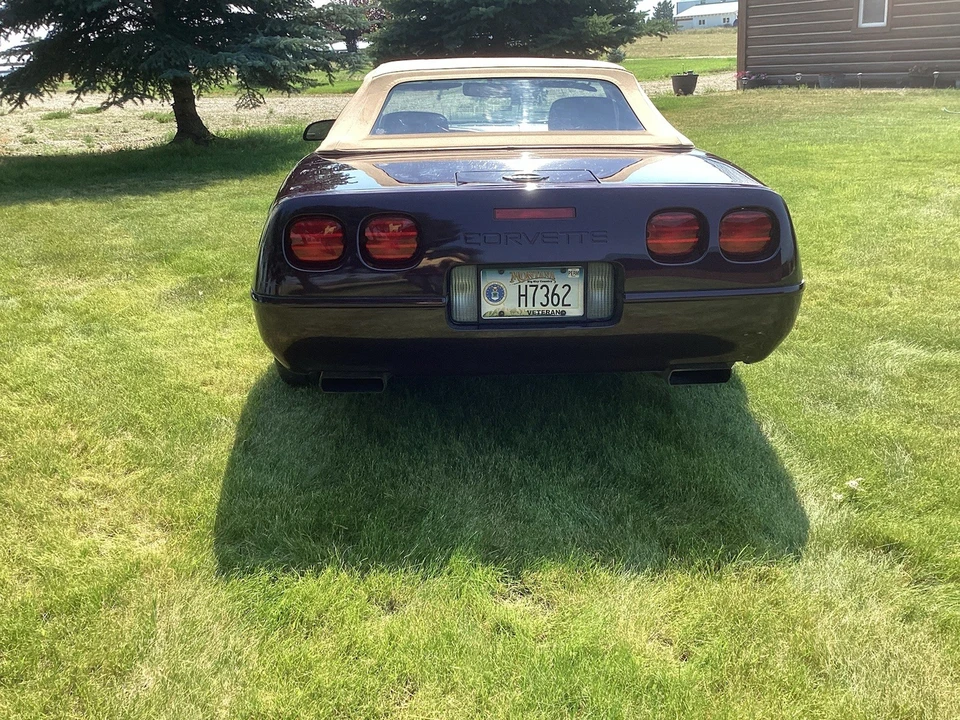 1993 Chevrolet Corvette C4 - Image 13 of 17