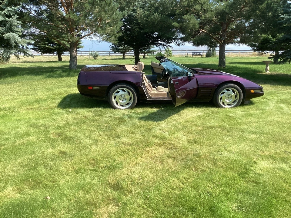 1993 Chevrolet Corvette C4 - Image 7 of 17