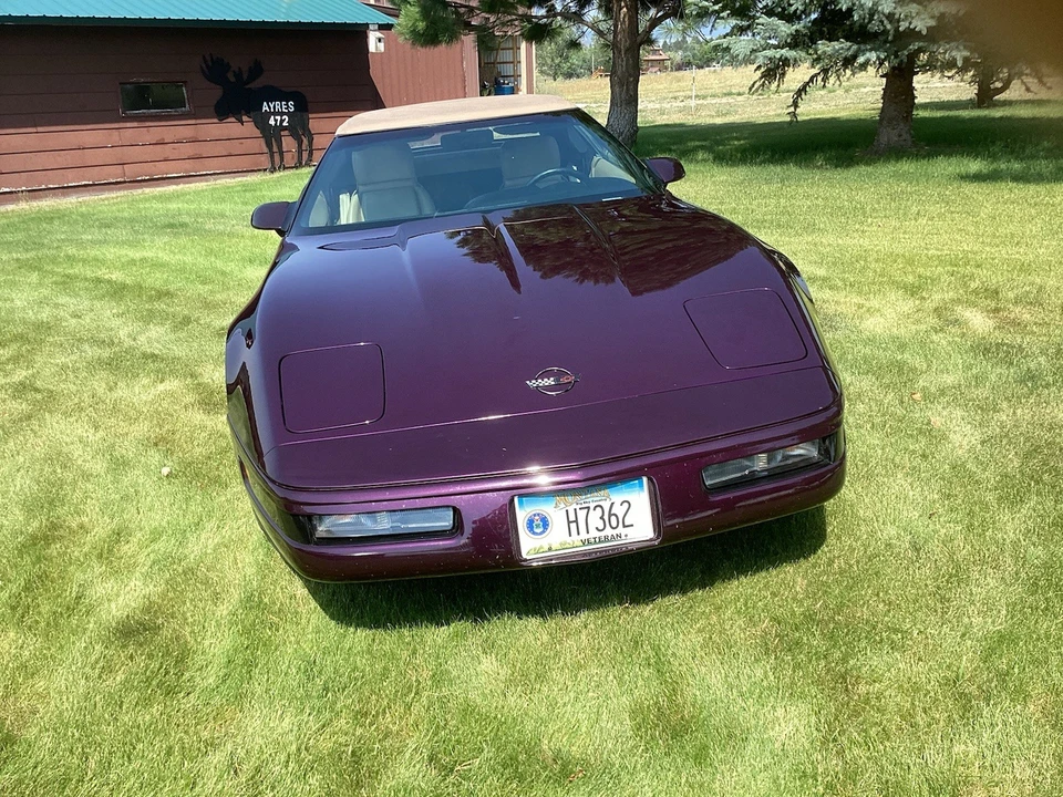 1993 Chevrolet Corvette C4 - Image 16 of 17