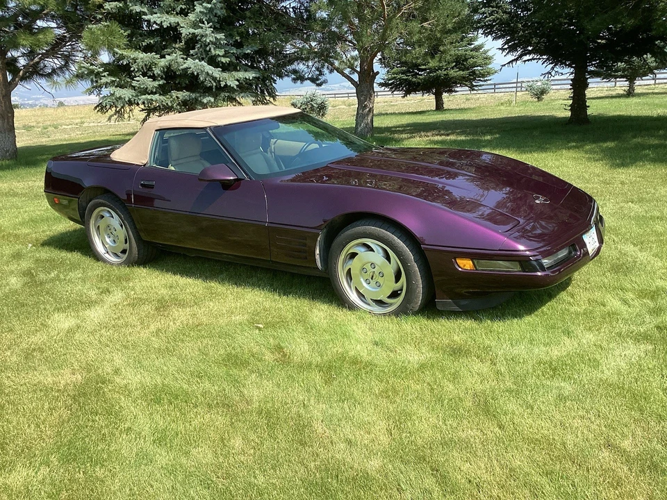 1993 Chevrolet Corvette C4 - Image 17 of 17