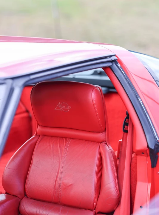 1993 Chevrolet Corvette C4 - Image 30 of 31