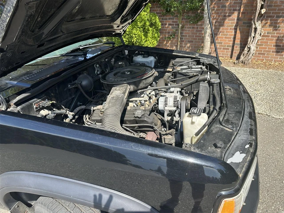 1993 Dodge Dakota 1st Gen - Image 22 of 29