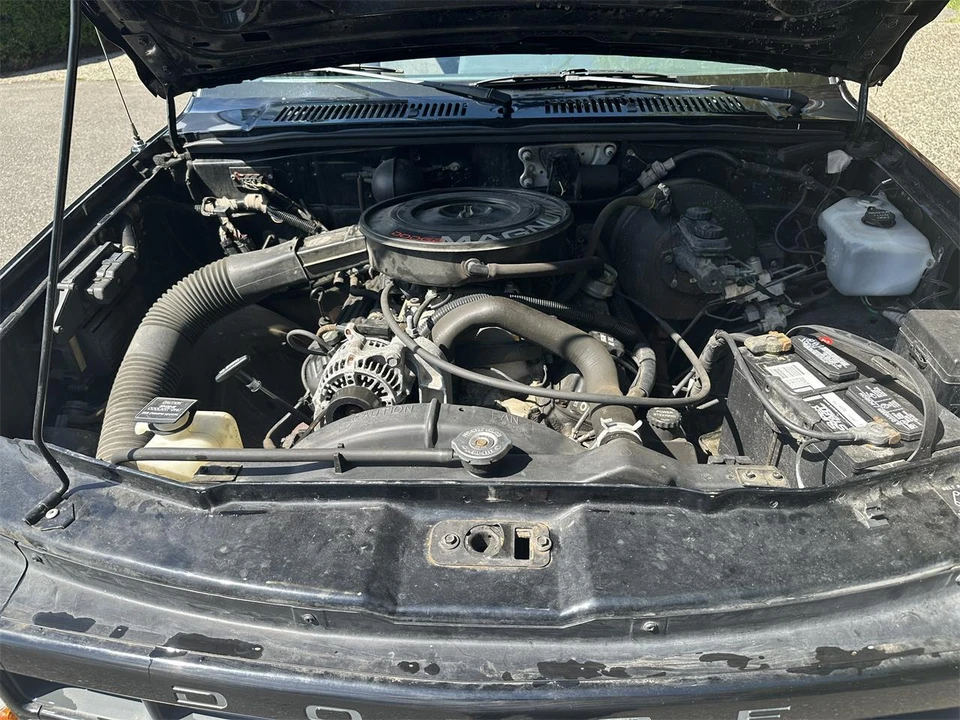 1993 Dodge Dakota 1st Gen - Image 24 of 29