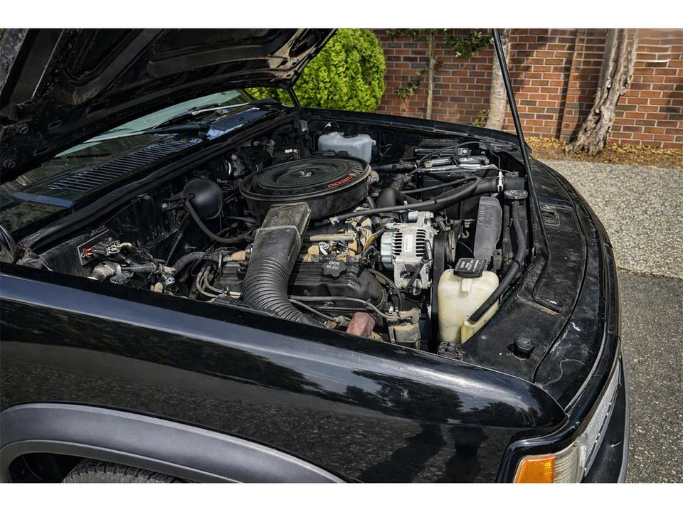 1993 Dodge Dakota 1st Gen - Image 26 of 29