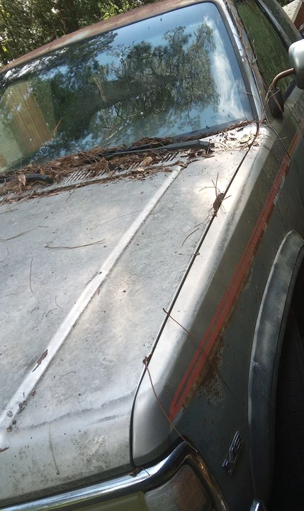 1993 Dodge Dakota 1st Gen - Image 3 of 5
