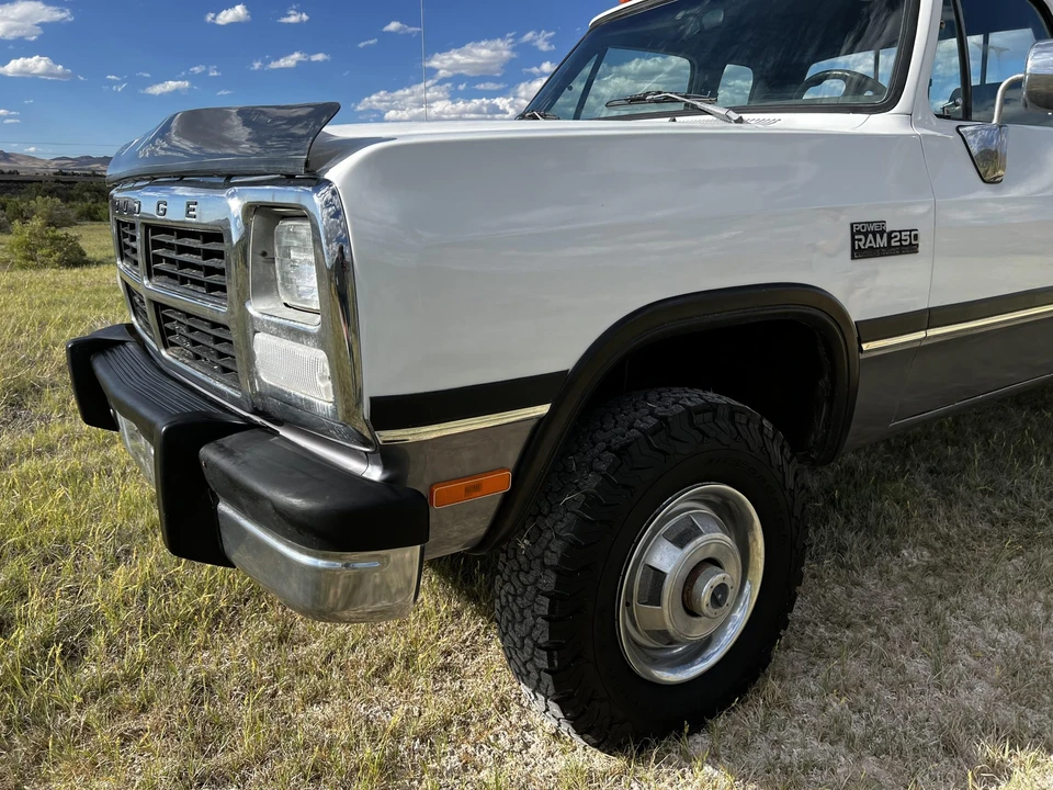 1993 Dodge Ram 1st Gen - Image 28 of 31