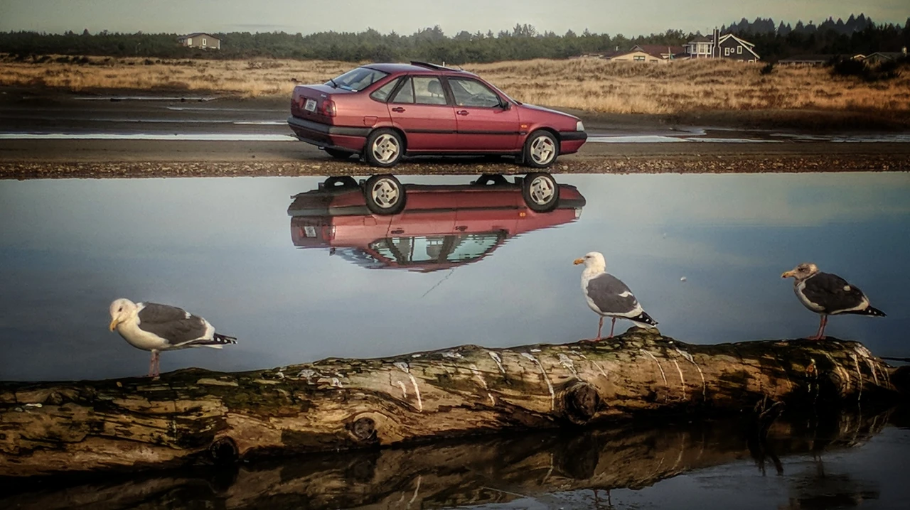 1993 Fiat - Image 2 of 31