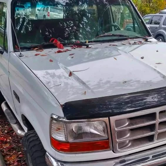 1993 Ford Bronco 5th Gen - Image 1 of 1