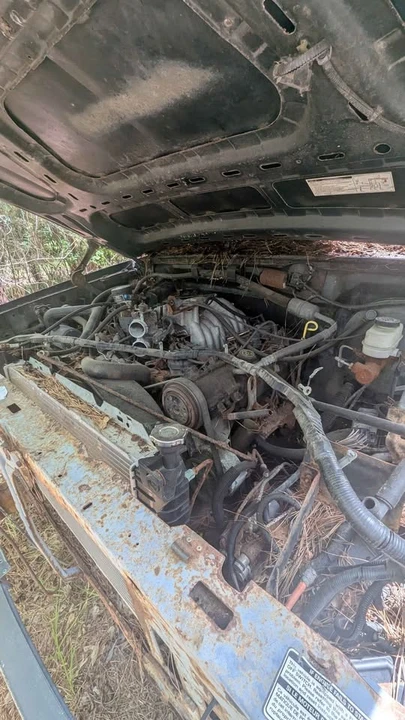 1993 Ford Bronco 5th Gen - Image 7 of 10